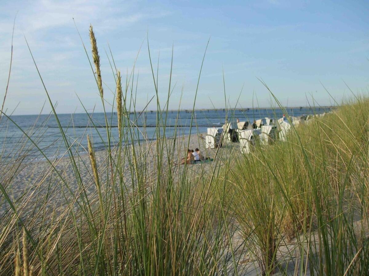 Discovair Mueritz -haus Quisisana- Strandnah Mit Netflix *