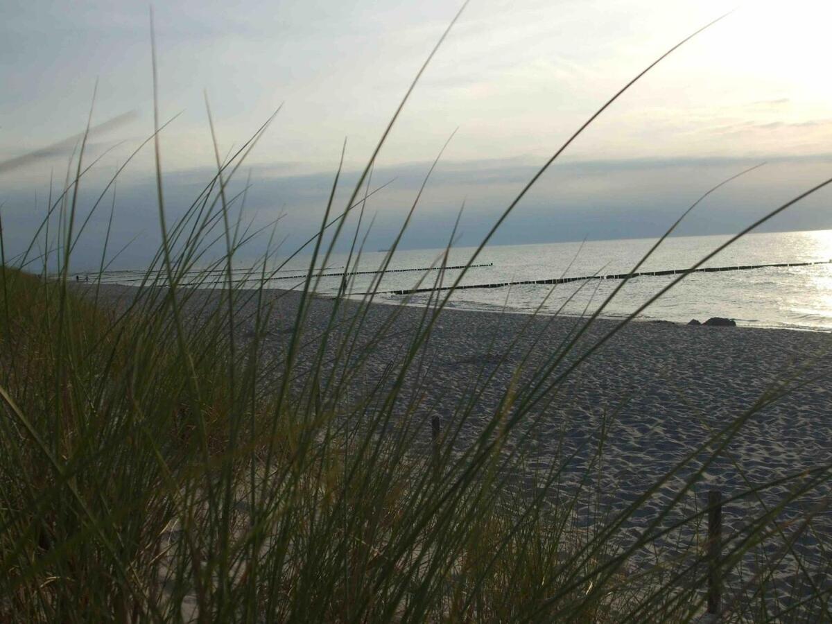 Discovair Mueritz -haus Quisisana- Strandnah Mit Netflix * Graal-Mueritz